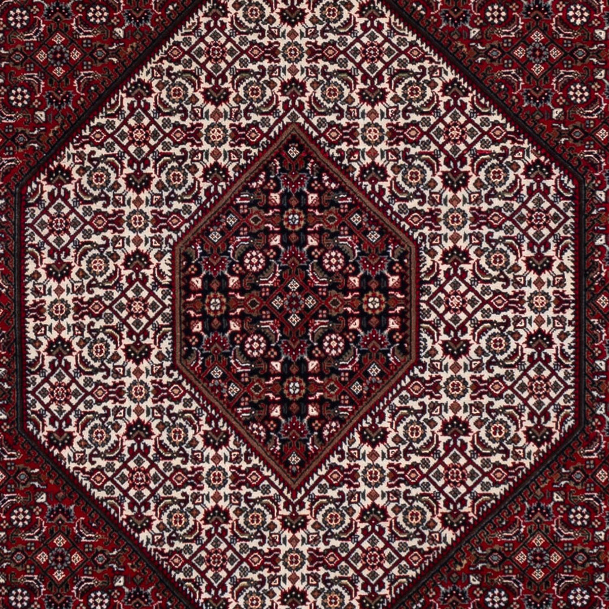 Tapis oriental - Bidjar - Indus - 304 x 251 cm - rouge foncé