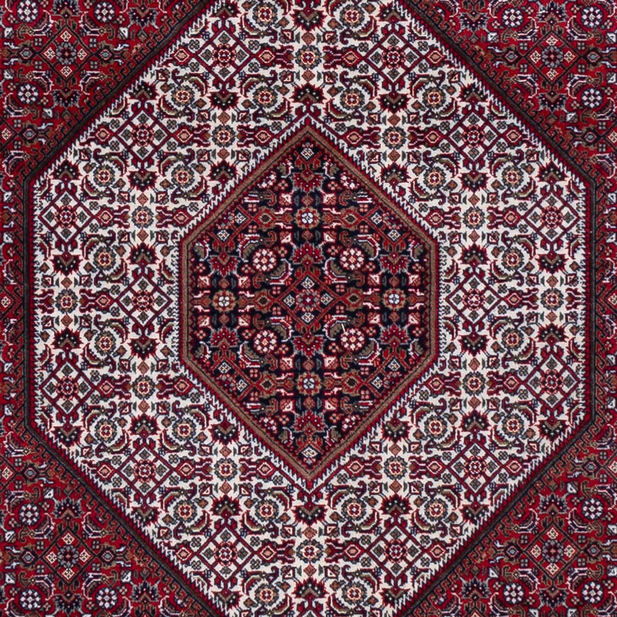 Tapis oriental - Bidjar - Indus - 300 x 247 cm - rouge foncé