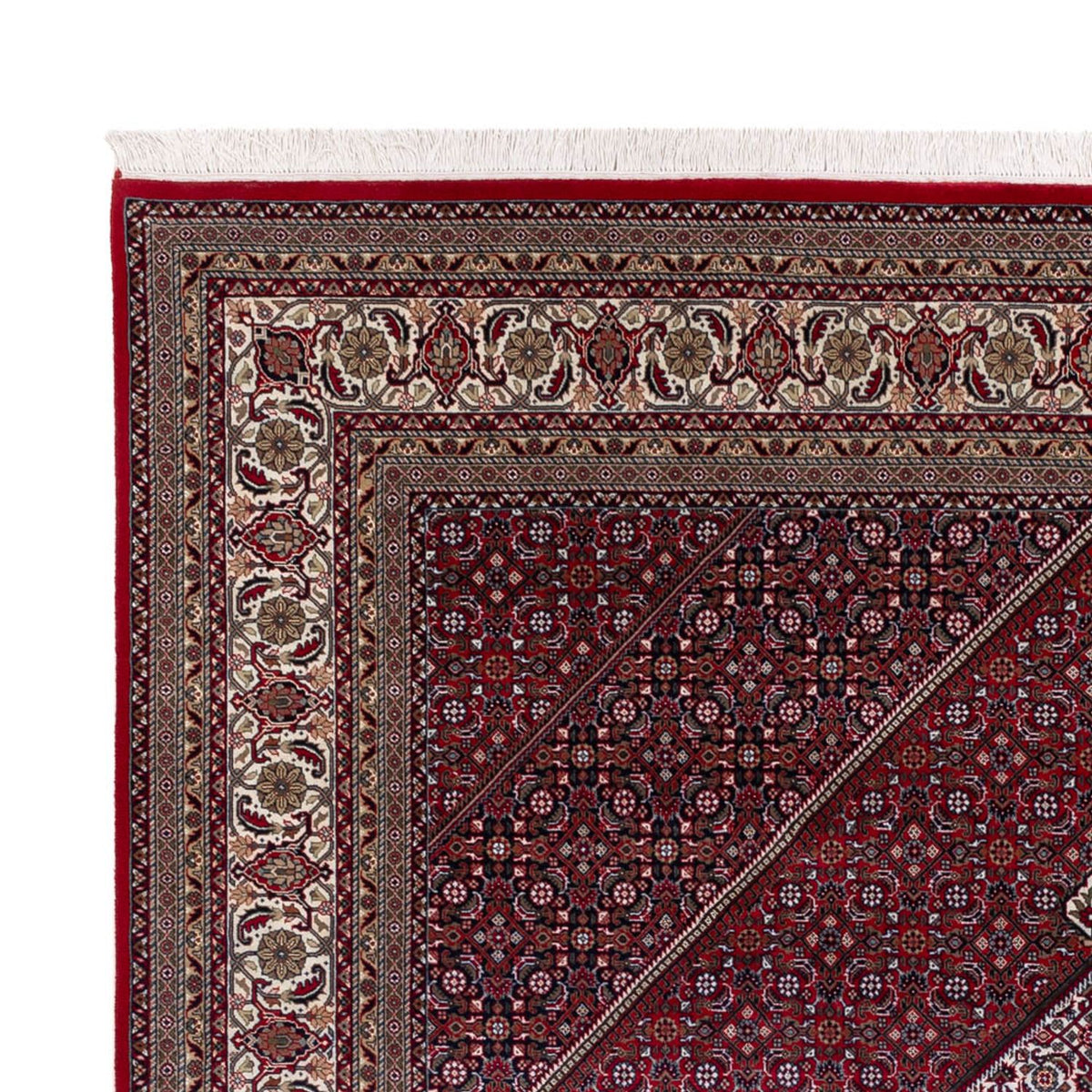 Tapis oriental - Bidjar - Indus - 300 x 247 cm - rouge foncé