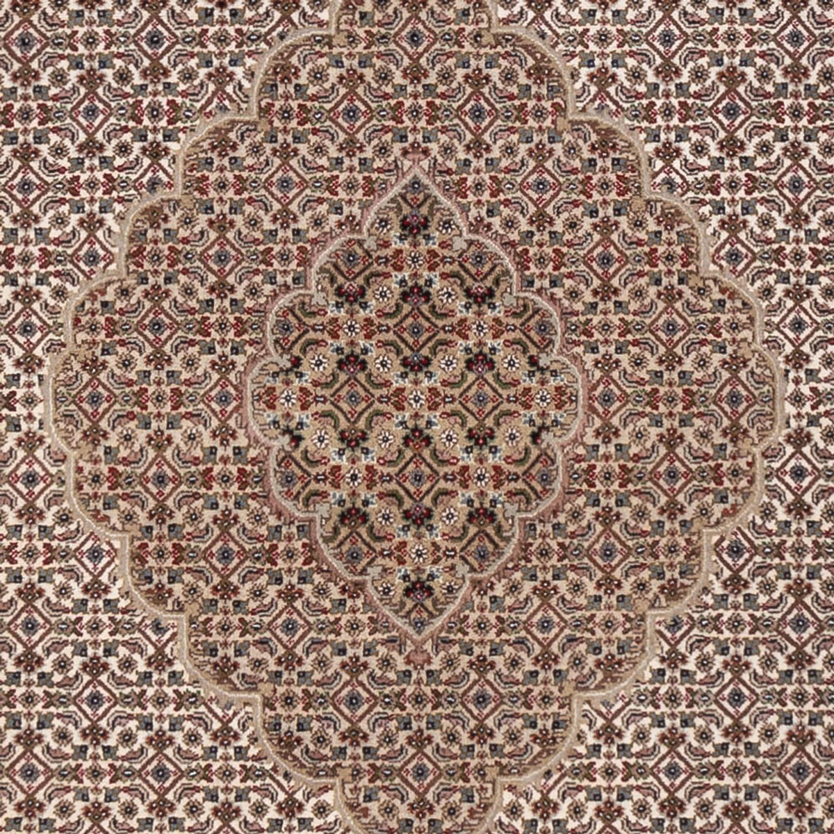 Tapis oriental - Tabriz - 304 x 249 cm - beige foncé