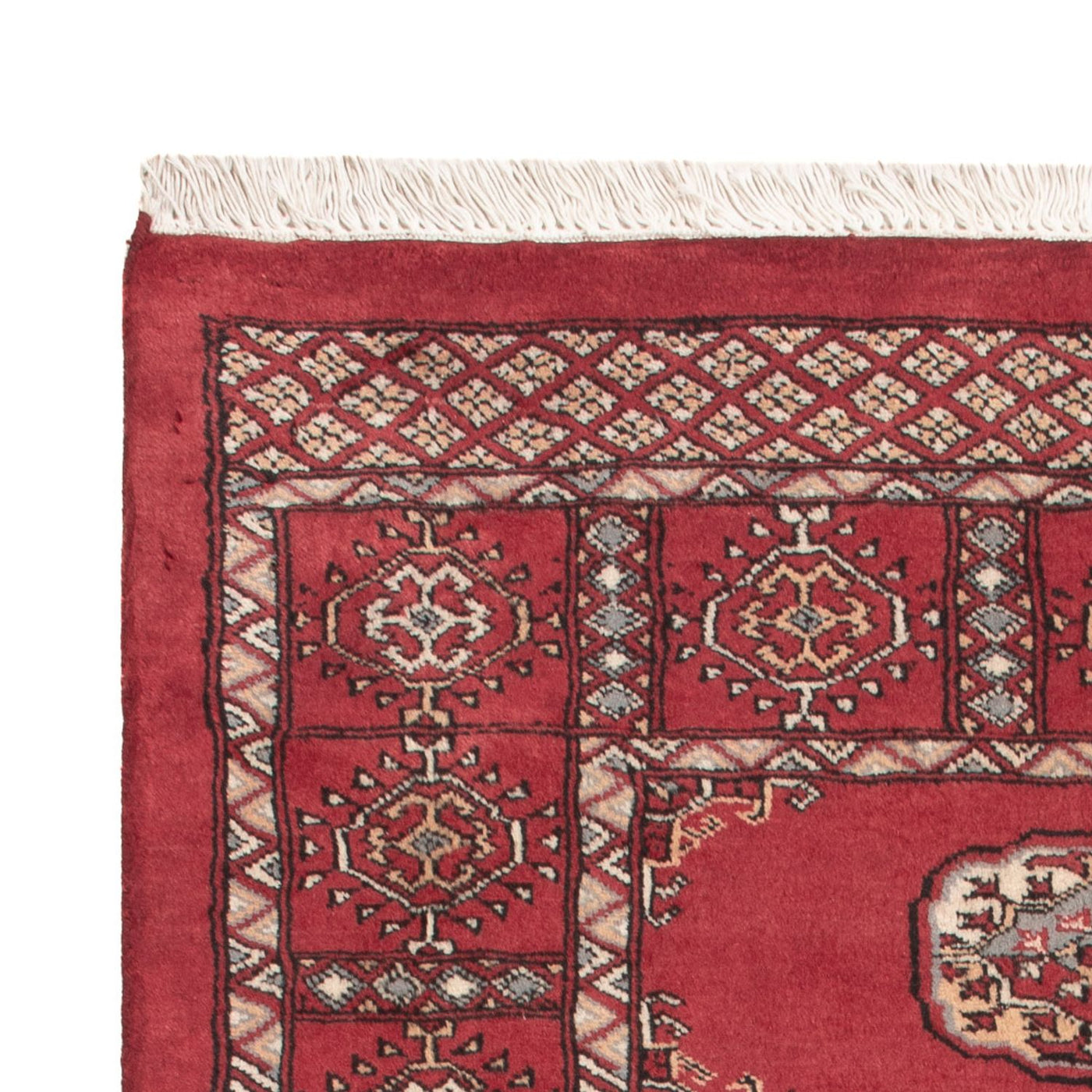 Tapis Pakistani 146x89cm - Tapis oriental