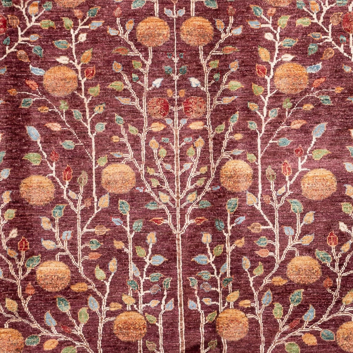 Tapis Ziegler - Ariana - 300 x 206 cm - rouge