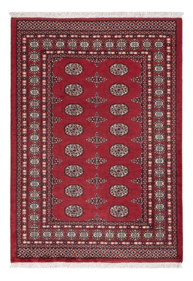 Pakistan Teppich - 183 x 124 cm - rot
