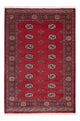 Tapis Pakistani 185x126cm - Tapis oriental