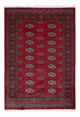 Tapis Pakistani 178x122cm - Tapis oriental