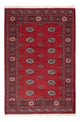 Tapis Pakistani 184x126cm - Tapis oriental