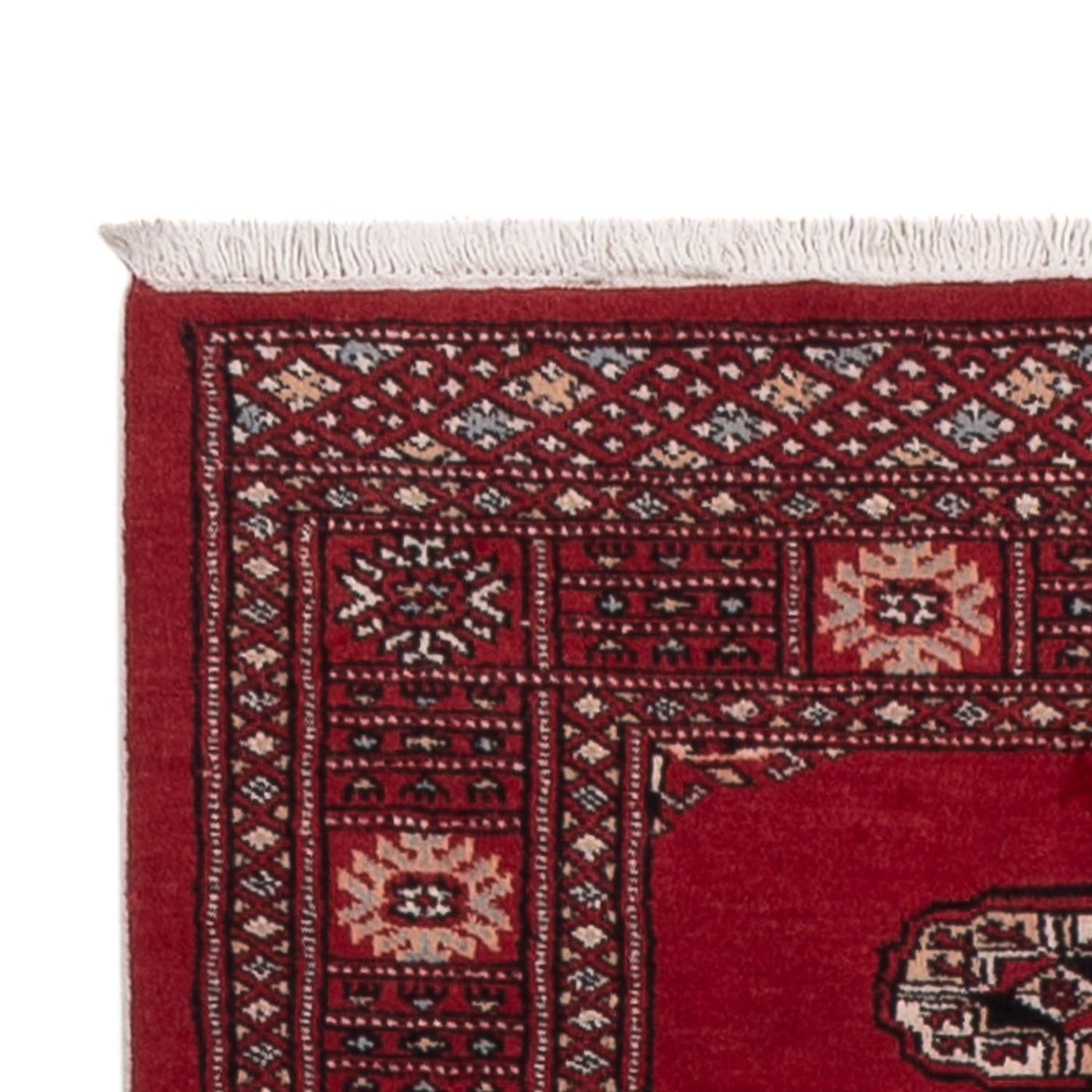 Tapis Pakistani 322x79cm - Tapis oriental