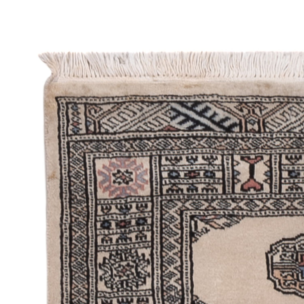 Tapis de couloir Tapis Pakistani - 341 x 77 cm - beige