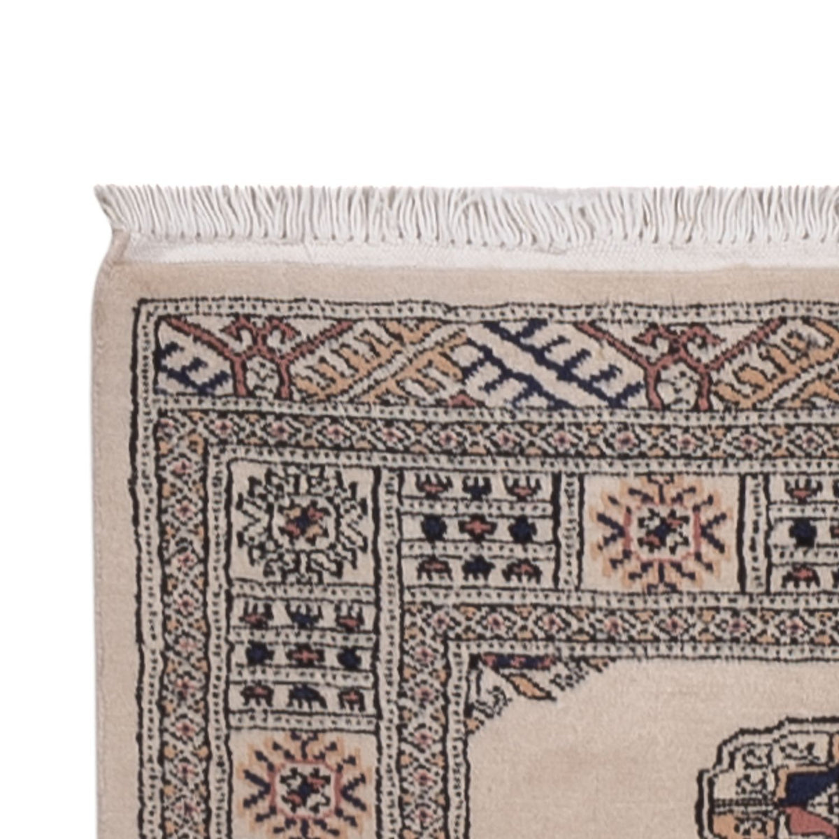 Tapis de couloir Tapis Pakistani - 311 x 79 cm - beige