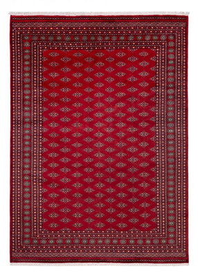Tapis afghan - Boukhara - 350 x 253 cm - rouge