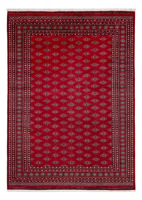 Tapis afghan - Boukhara - 350 x 253 cm - rouge