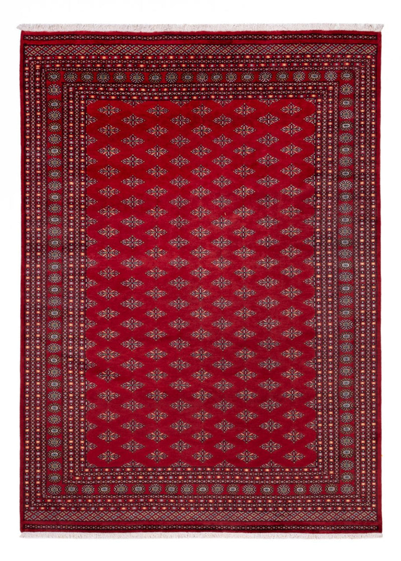 Tapis afghan - Boukhara - 350 x 253 cm - rouge