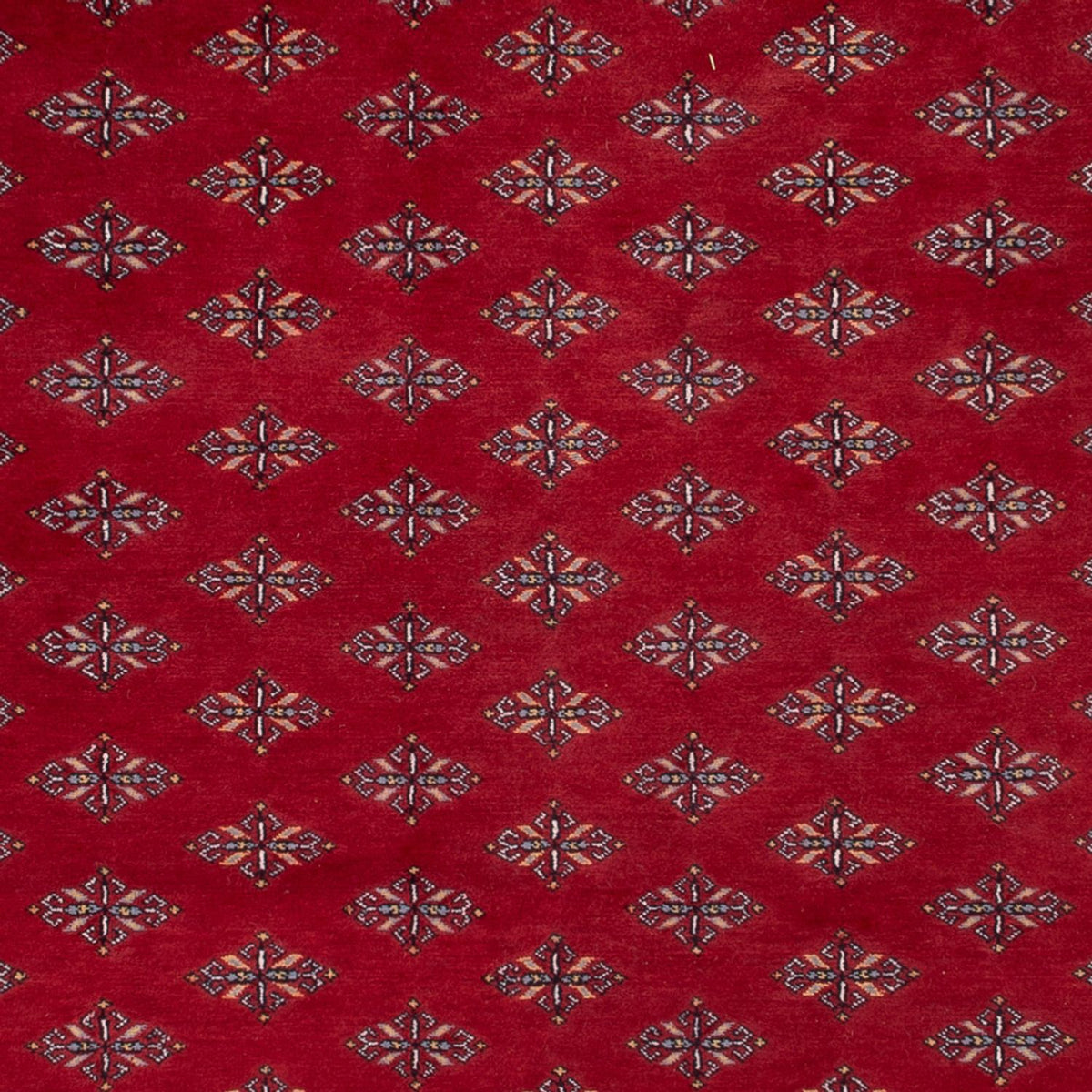 Tapis afghan - Boukhara - 350 x 253 cm - rouge