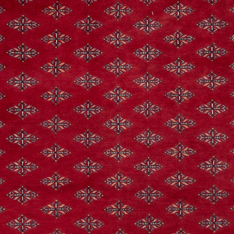 Tapis afghan - Boukhara - 350 x 253 cm - rouge