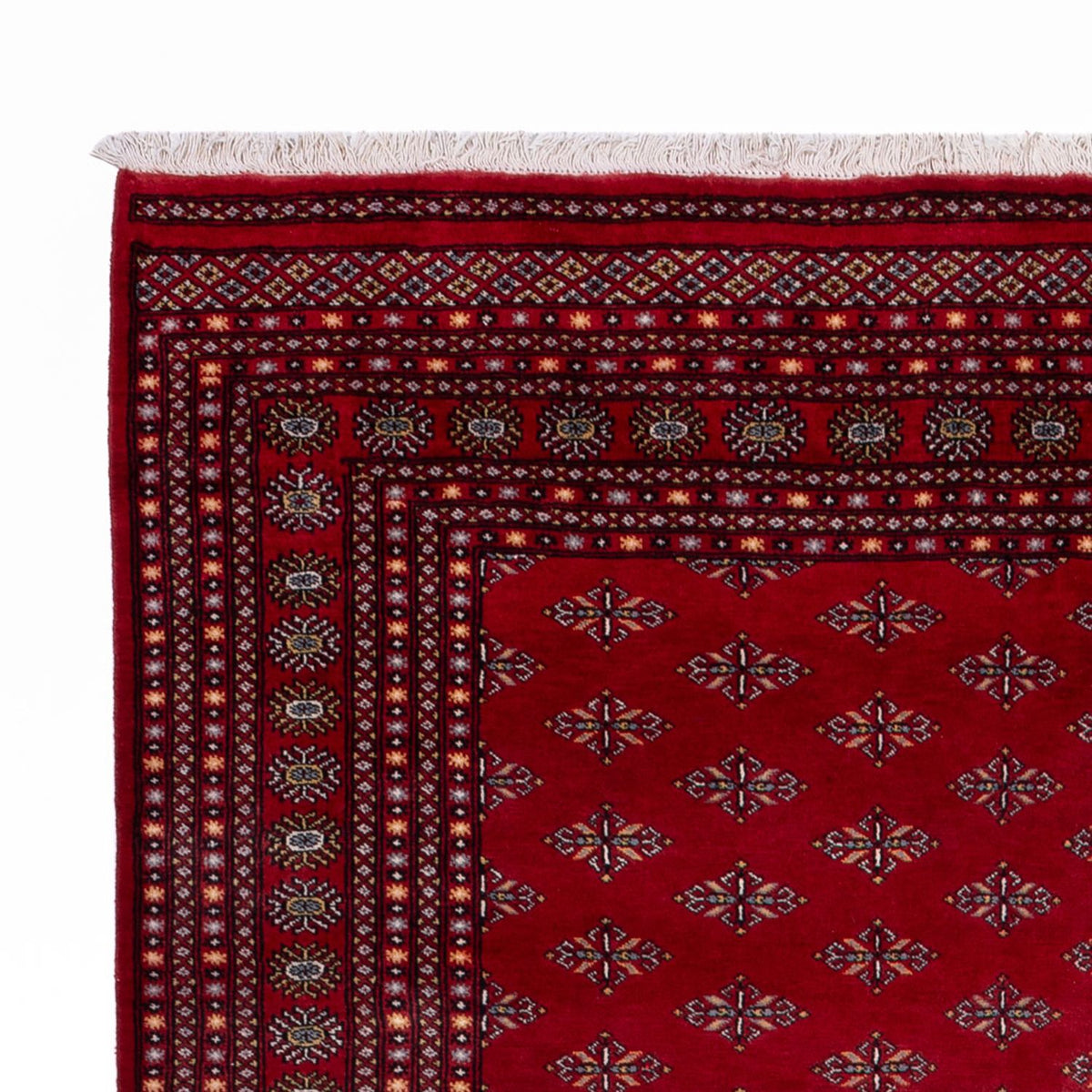 Tapis afghan - Boukhara - 350 x 253 cm - rouge