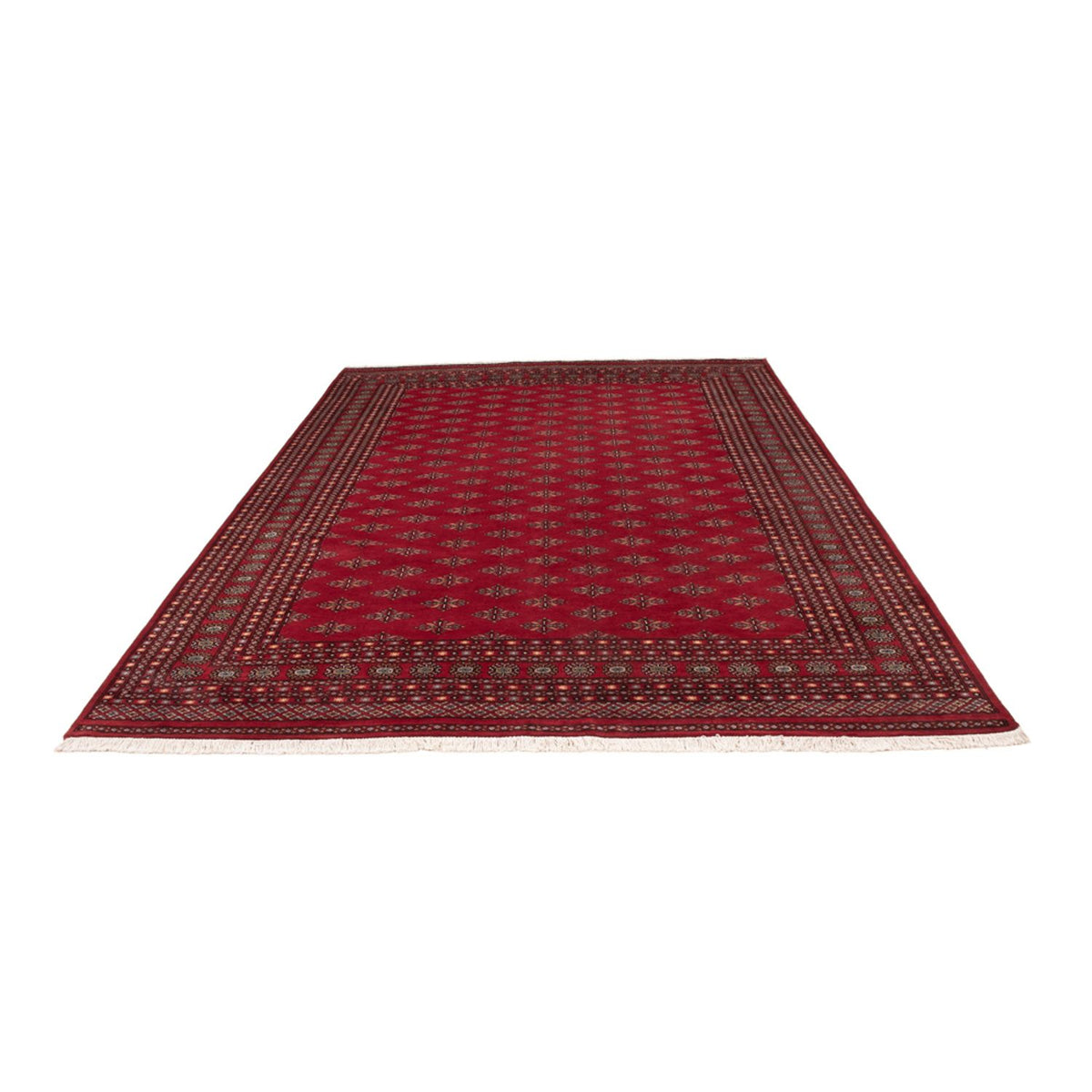 Tapis afghan - Boukhara - 350 x 253 cm - rouge