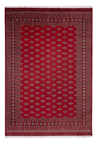 Tapis afghan - Boukhara - 365 x 249 cm - rouge