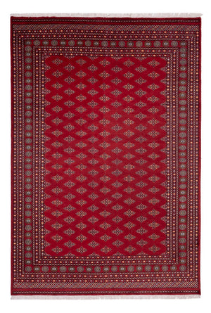 Tapis afghan - Boukhara - 365 x 249 cm - rouge