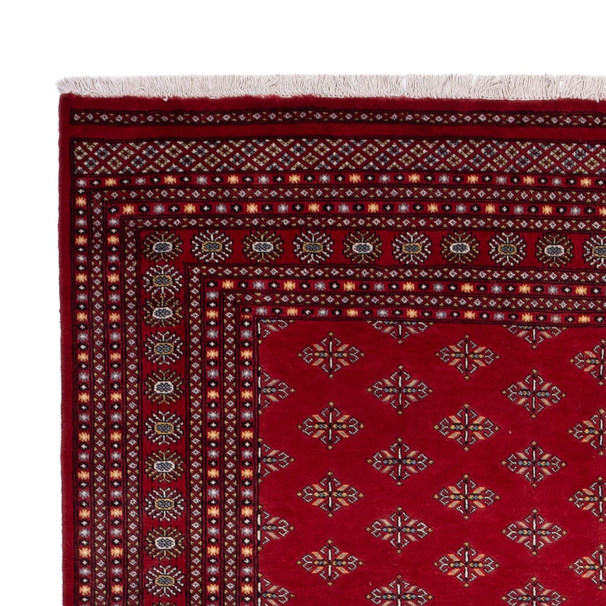 Tapis afghan - Boukhara - 365 x 249 cm - rouge