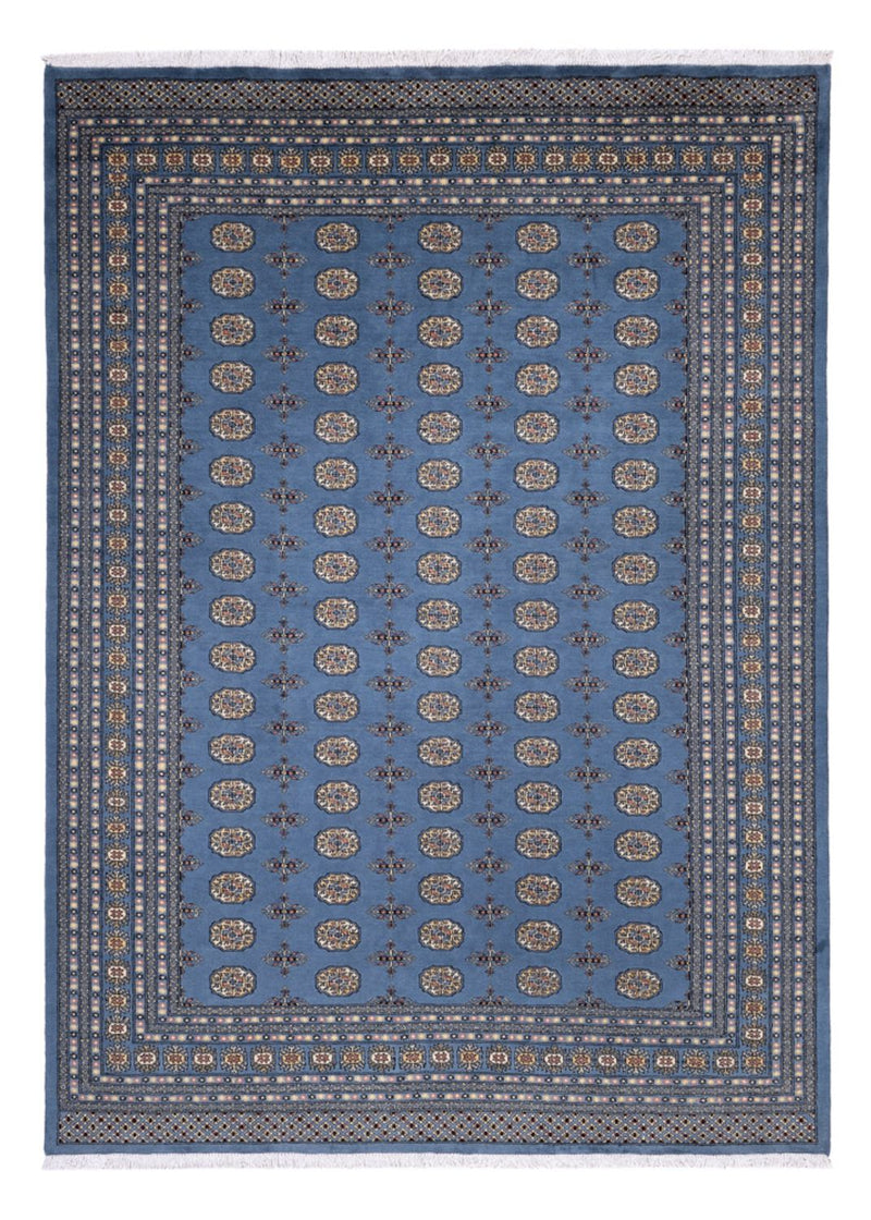 Tapis afghan - Boukhara - 344 x 248 cm - bleu