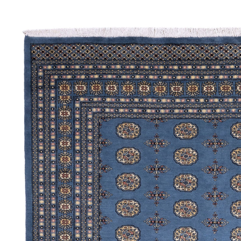 Tapis afghan - Boukhara - 344 x 248 cm - bleu