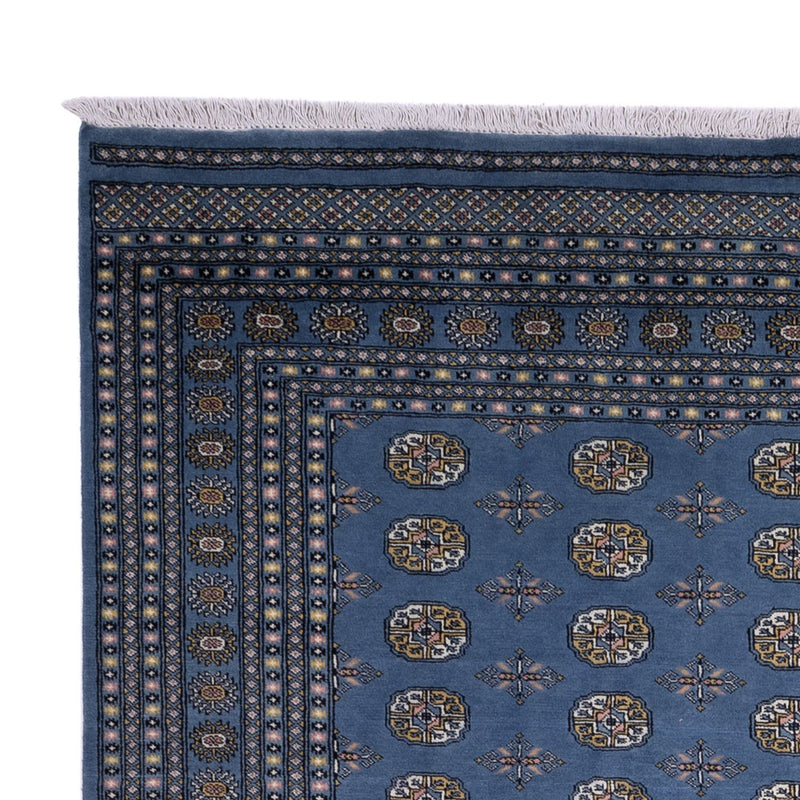 Tapis afghan - Boukhara - 341 x 240 cm - bleu