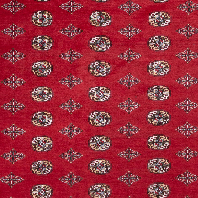 Tapis afghan - Boukhara - 380 x 277 cm - rouge