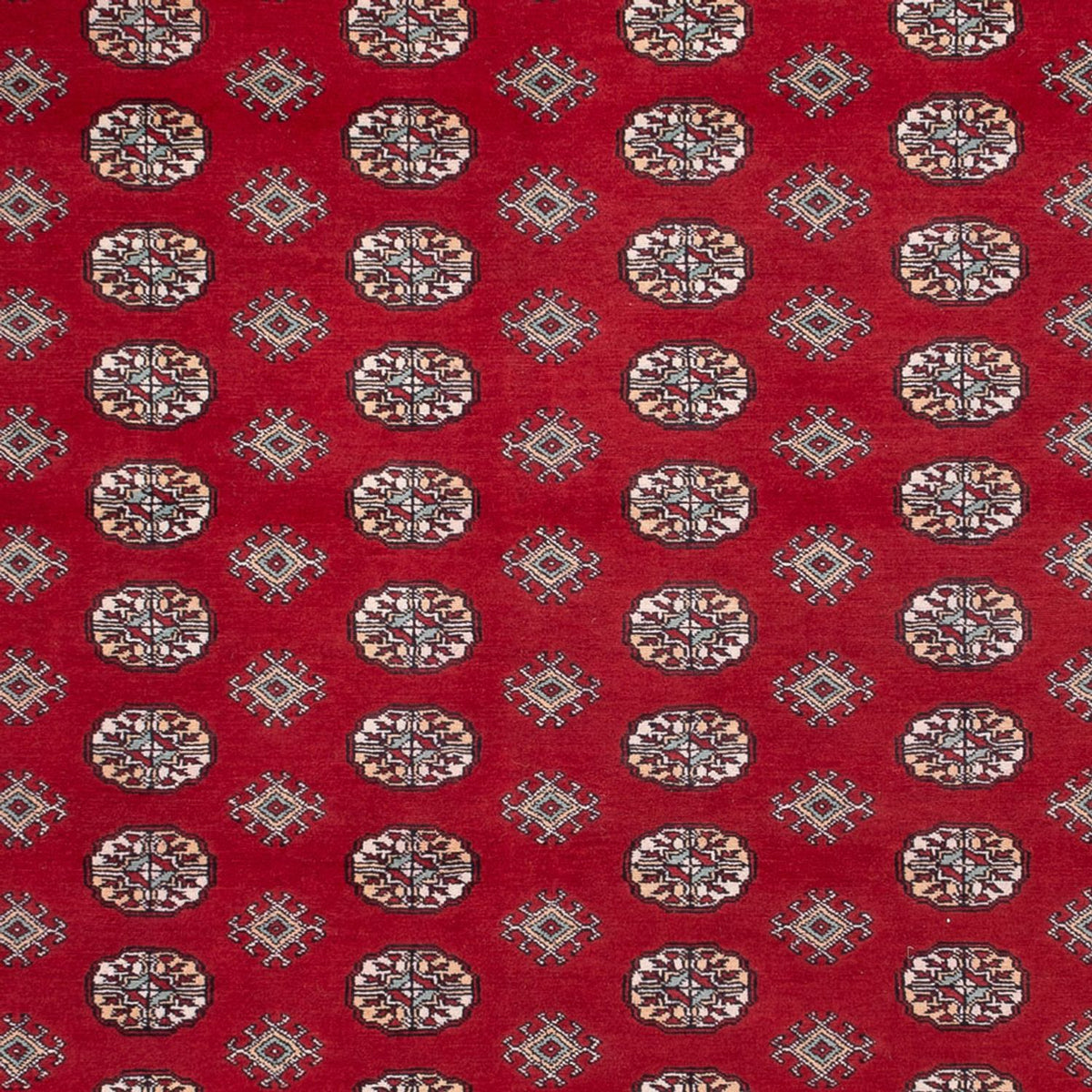 Tapis afghan - Boukhara - 362 x 278 cm - rouge