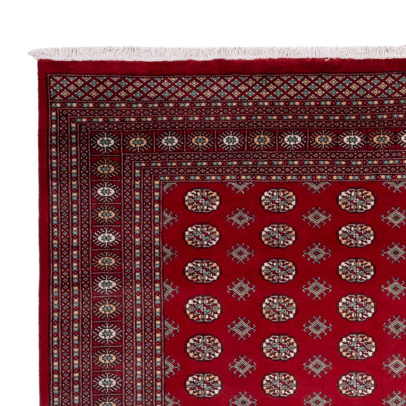 Tapis afghan - Boukhara - 362 x 278 cm - rouge