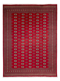 Tapis afghan - Boukhara - 369 x 275 cm - rouge