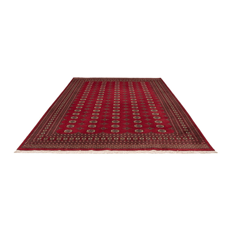 Tapis afghan - Boukhara - 369 x 275 cm - rouge
