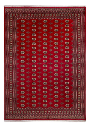 Tapis afghan - Boukhara - 387 x 276 cm - rouge