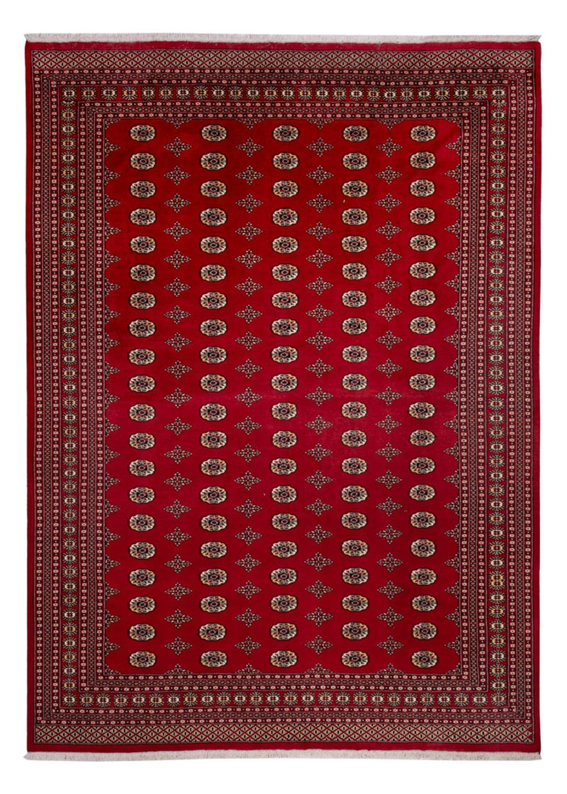 Tapis afghan - Boukhara - 387 x 276 cm - rouge