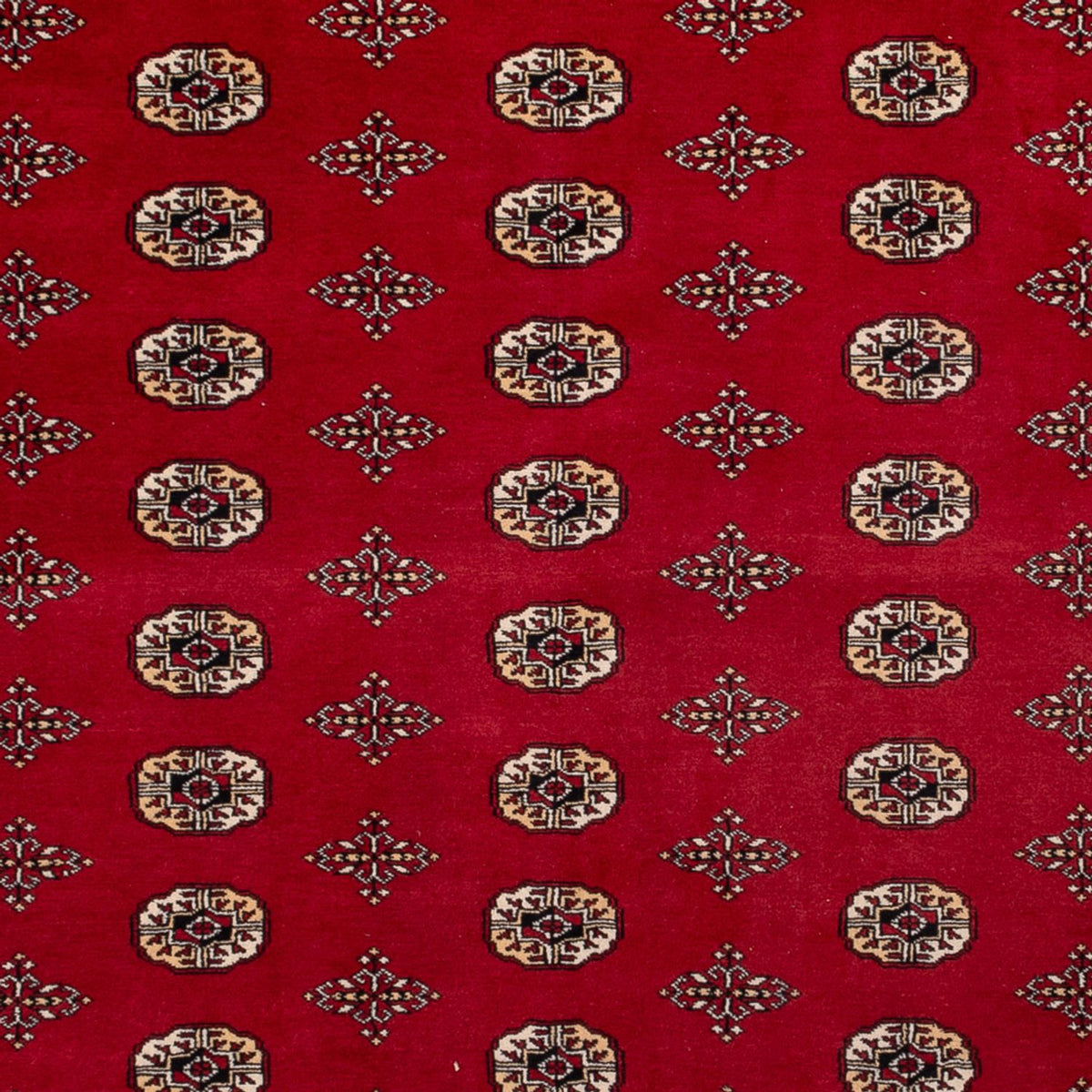 Tapis afghan - Boukhara - 387 x 276 cm - rouge