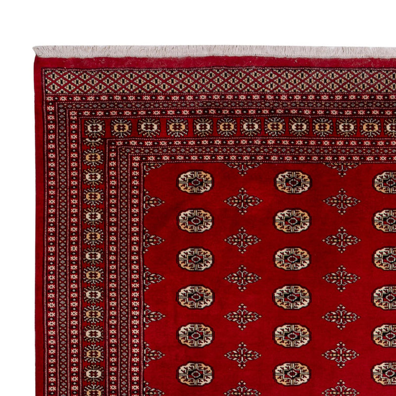 Tapis afghan - Boukhara - 387 x 276 cm - rouge