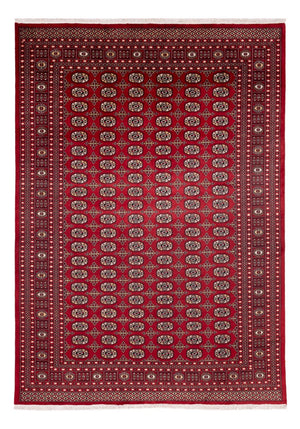 Tapis afghan - Boukhara - 346 x 241 cm - rouge