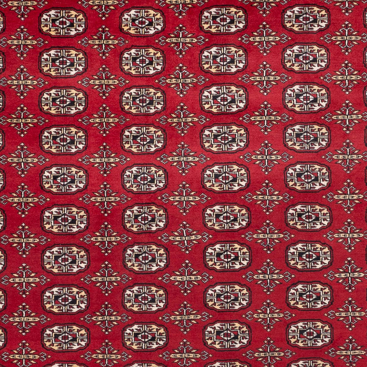 Tapis afghan - Boukhara - 346 x 241 cm - rouge