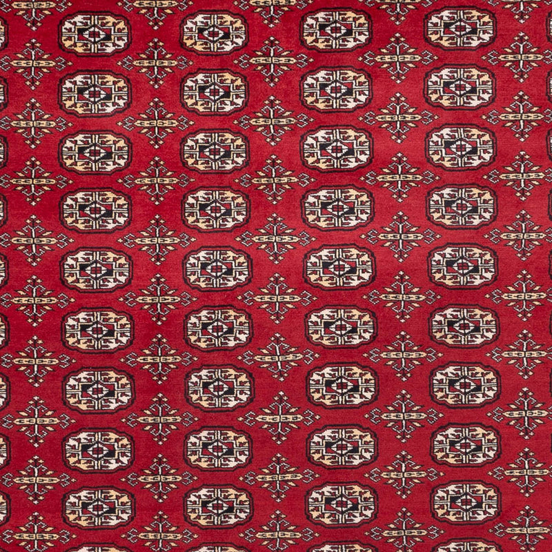 Tapis afghan - Boukhara - 346 x 241 cm - rouge