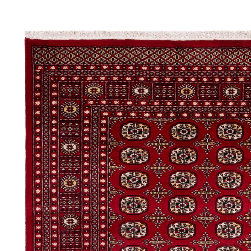 Tapis afghan - Boukhara - 346 x 241 cm - rouge