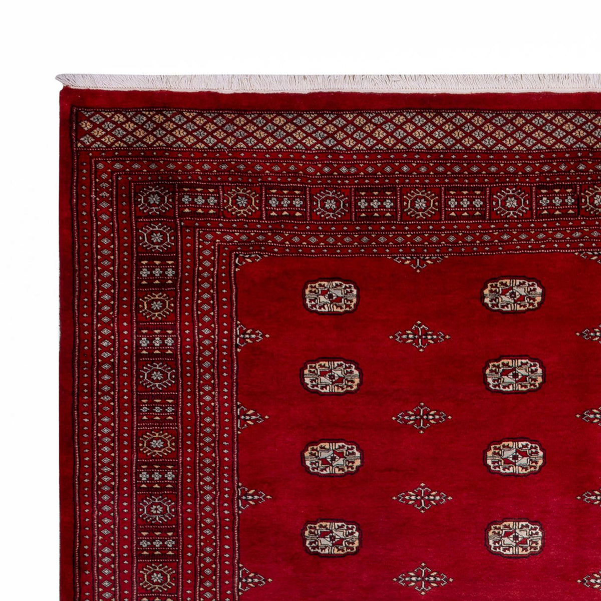 Tapis afghan - Boukhara - 364 x 283 cm - rouge