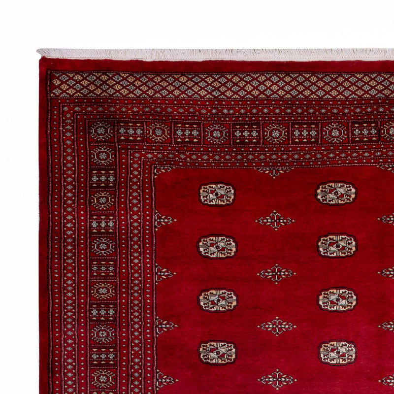 Tapis afghan - Boukhara - 364 x 283 cm - rouge