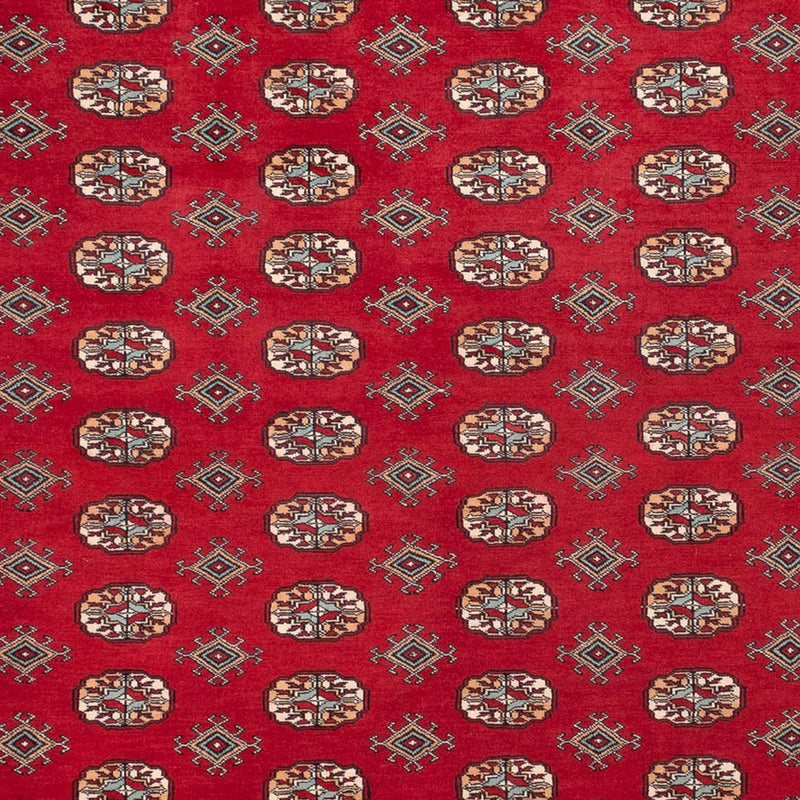 Tapis afghan - Boukhara - 354 x 275 cm - rouge