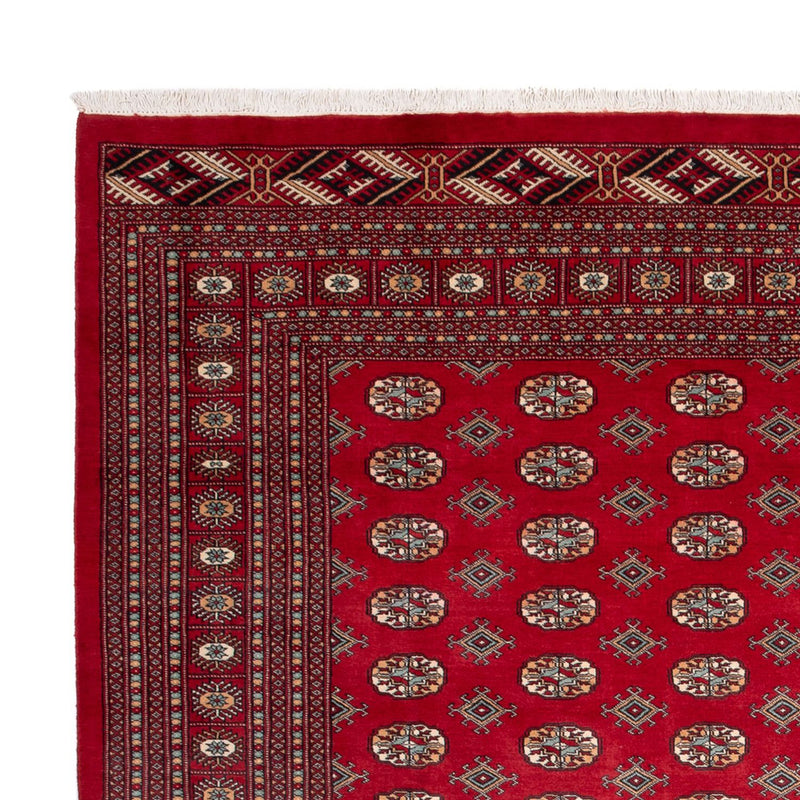 Tapis afghan - Boukhara - 354 x 275 cm - rouge
