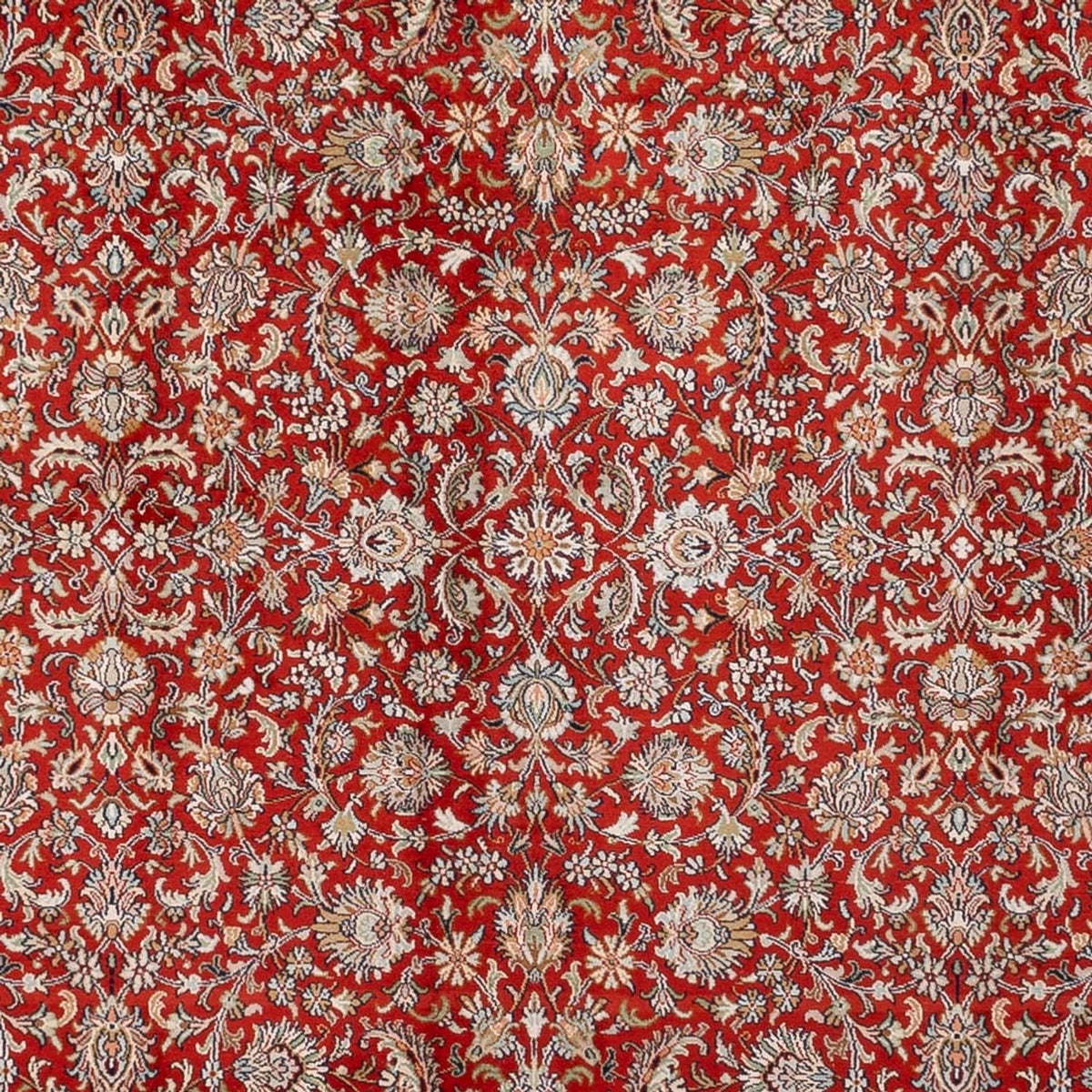 Tapis en soie - Soie du Cachemire - 340 x 250 cm - rouge