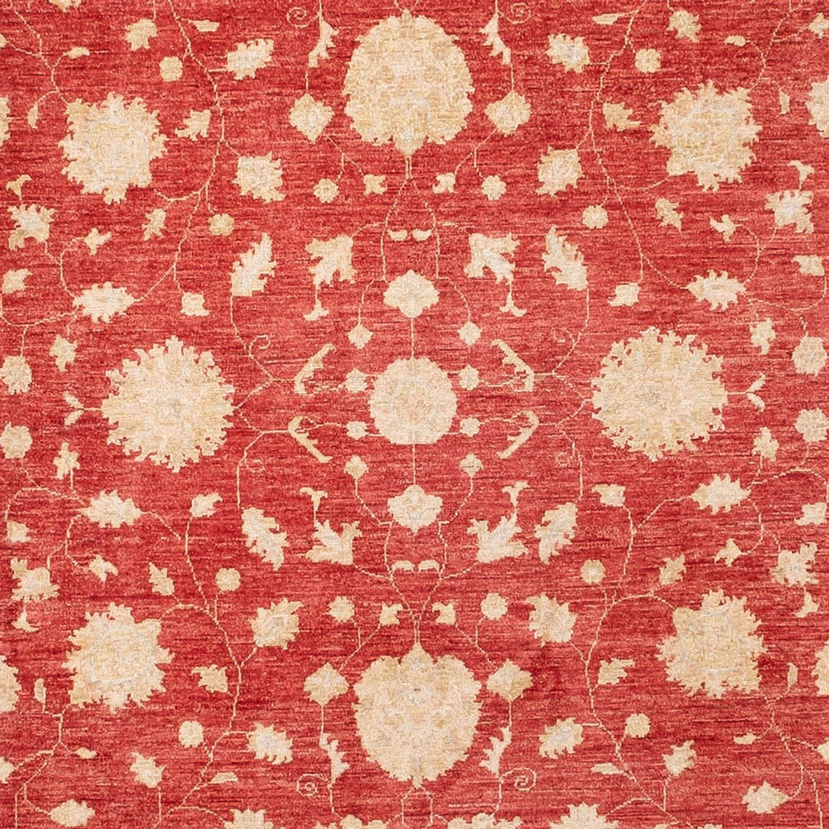 Tapis Ziegler - 413 x 198 cm - rouge