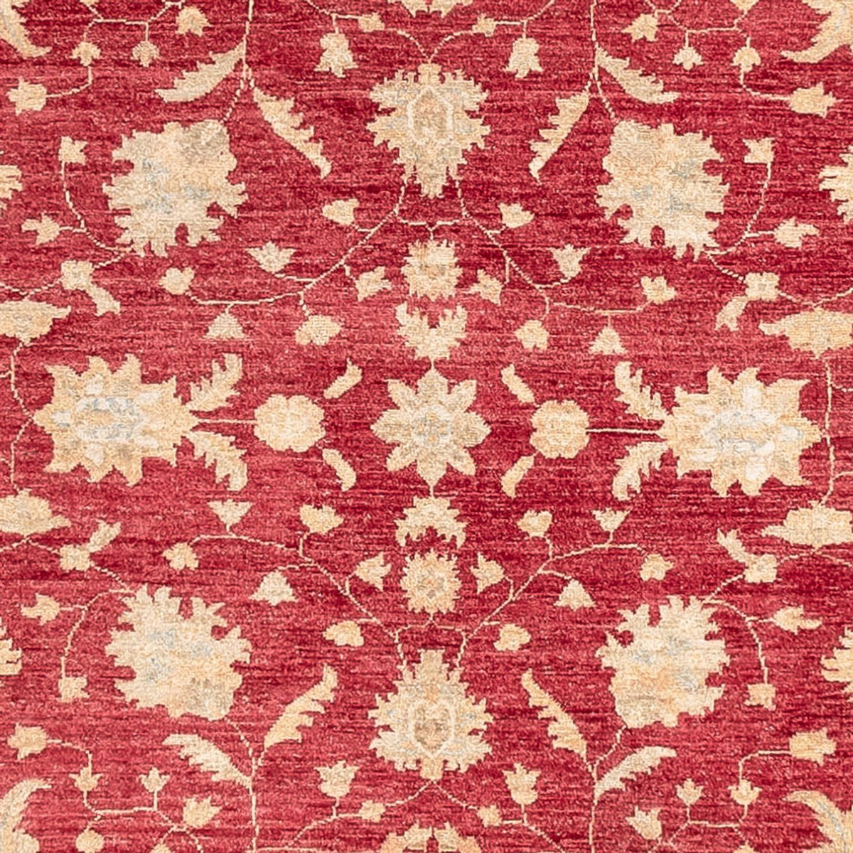 Tapis de couloir Tapis Ziegler - 402 x 152 cm - rouge