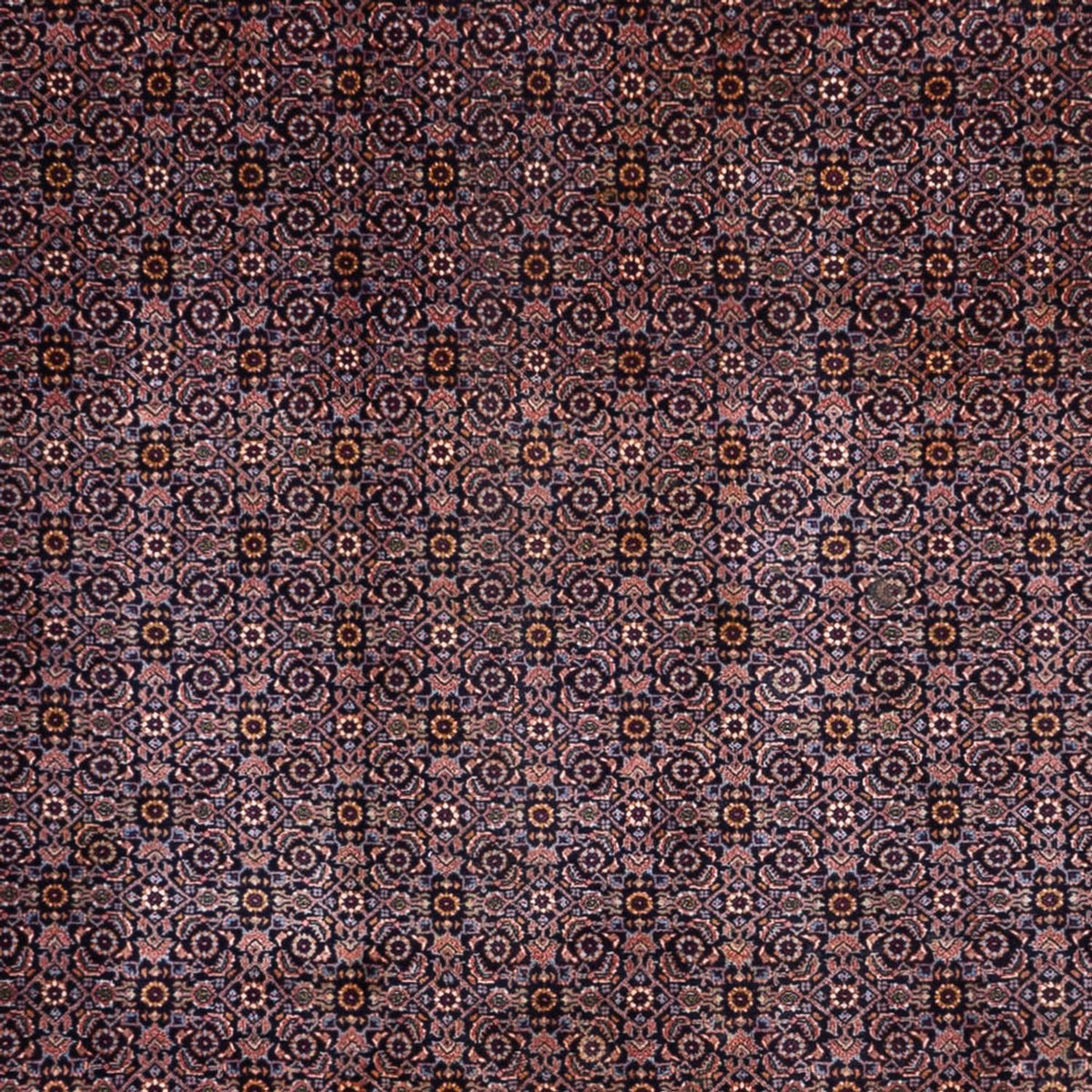 Tapis persan - Bidjar - 349 x 252 cm - beige foncé