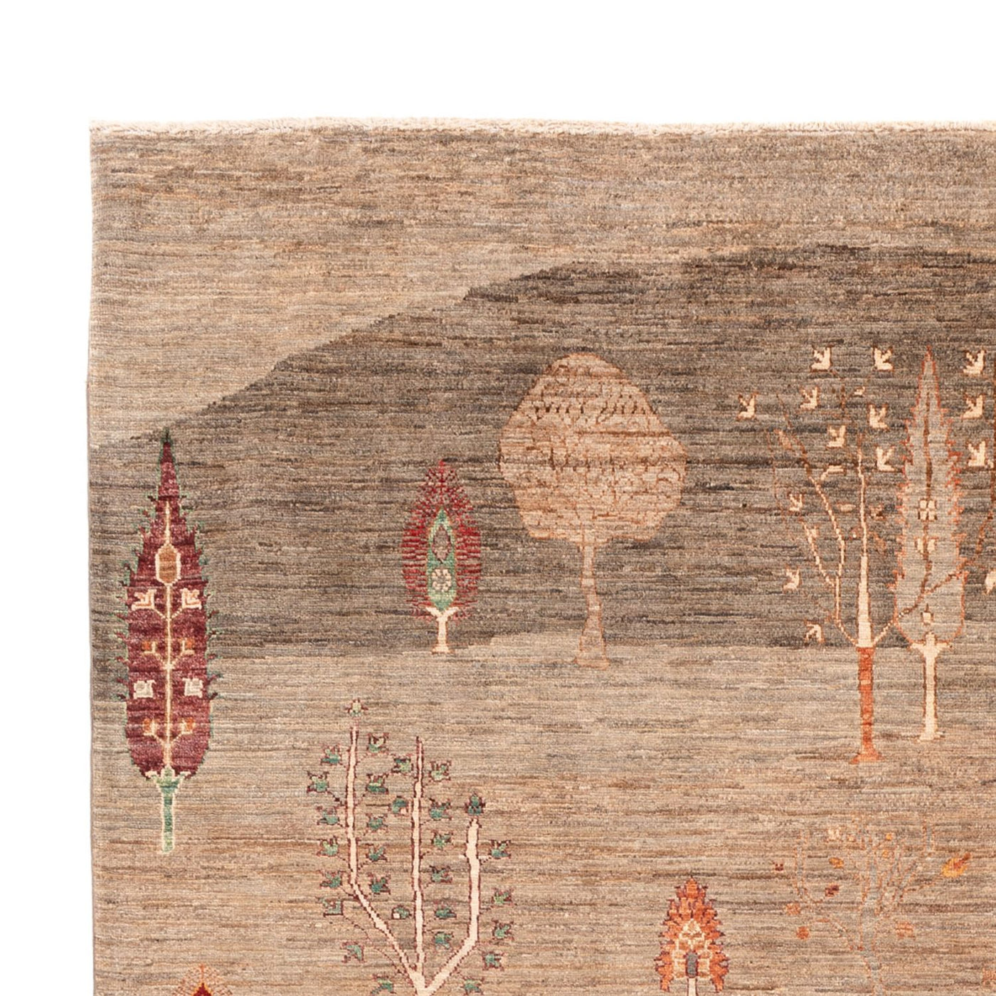 Ariana Tapis 301x210cm - Tapis oriental