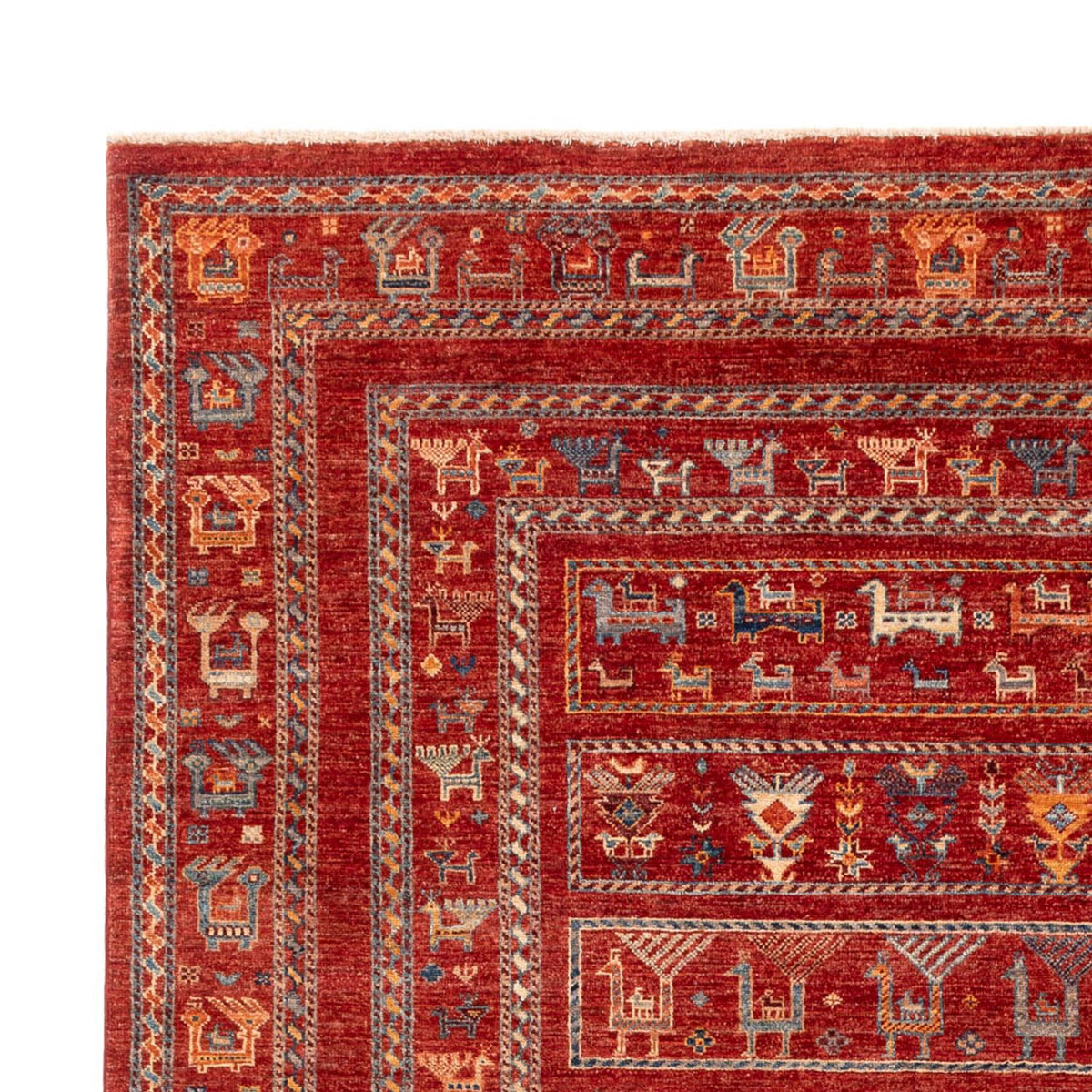 Ariana Tapis 211x306cm - Tapis oriental