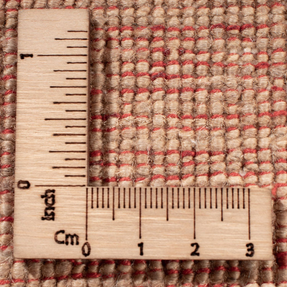 Tapis Ziegler - Ariana - 298 x 248 cm - beige